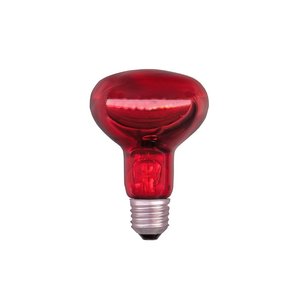 POWERHEAT, INFRAROOD WARMTELAMP, R80 230V 60W ROOD