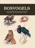 Basisgids Bosvogels