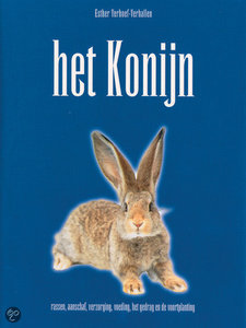 Het Konijn